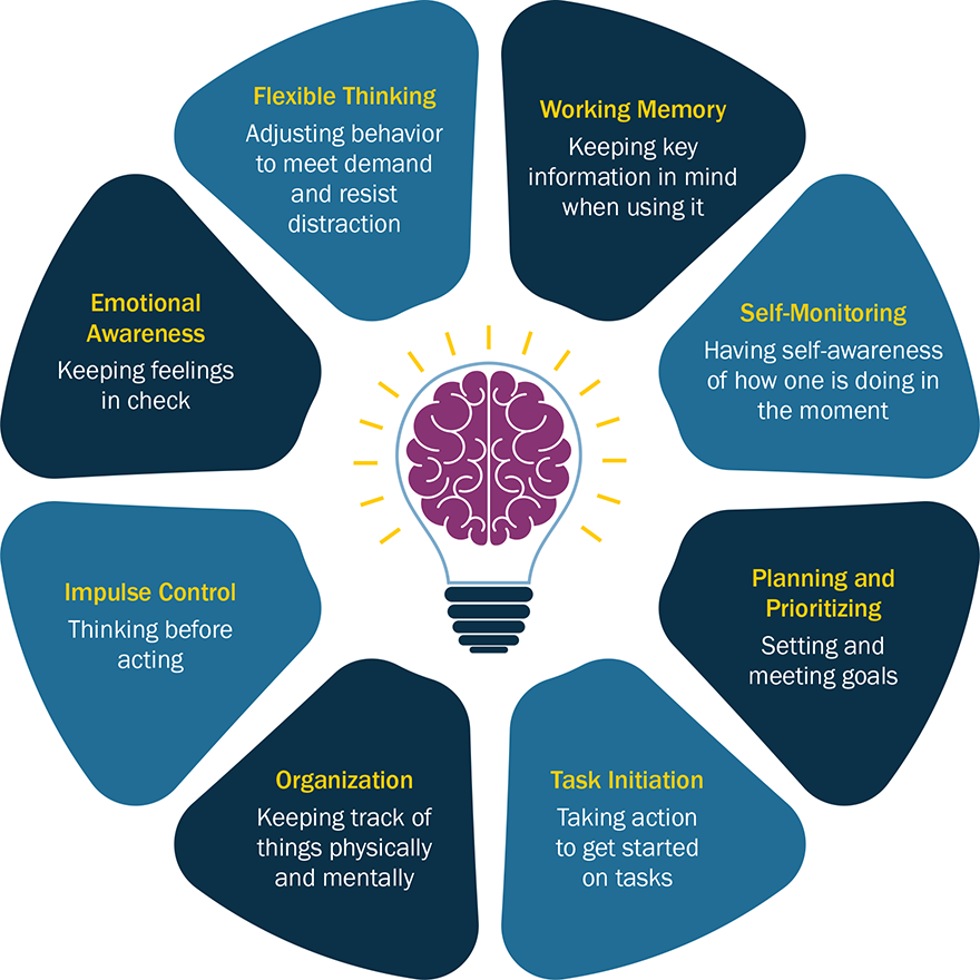 Development of Skills, Habits, and Mindsets | Design Principles for Schools